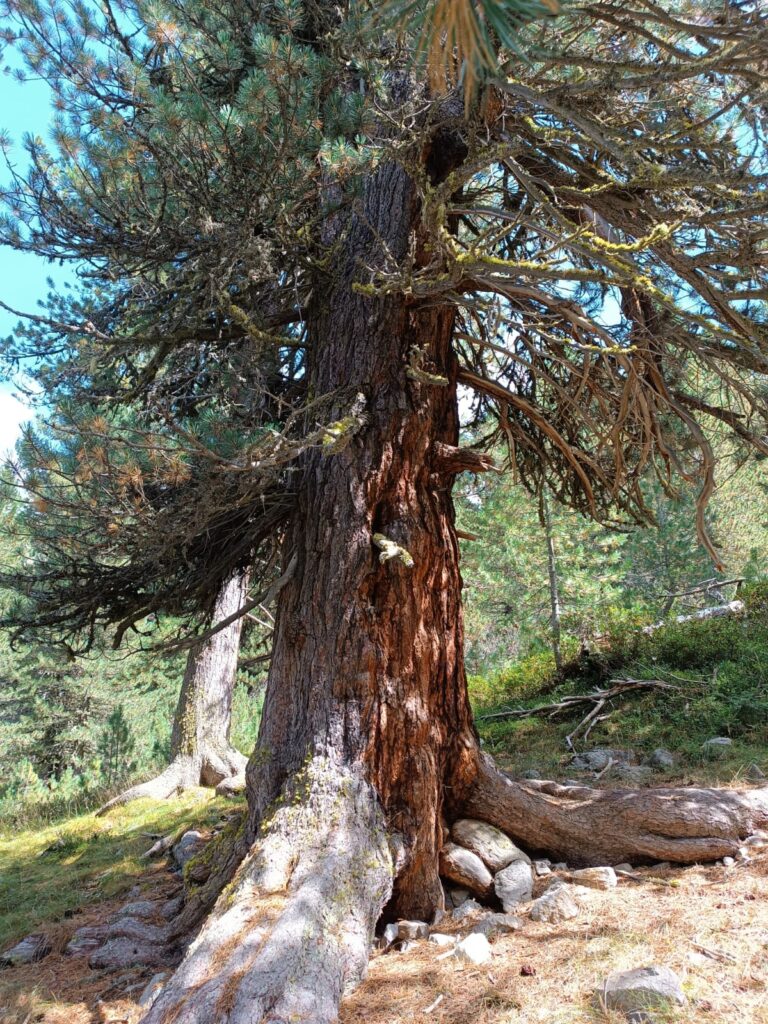Pilgerwanderung im Unterengadin 2